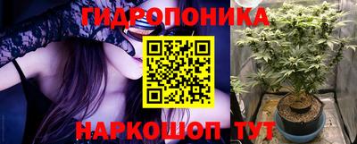 индика Северобайкальск