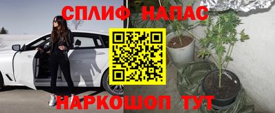 гашик Севастополь