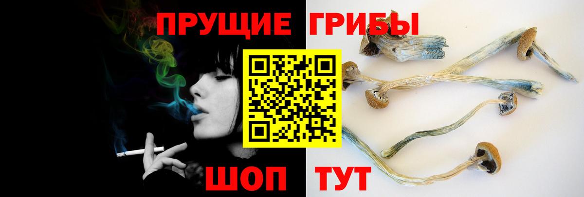 Галлюциногенные грибы Magic Shrooms  Вход с VPN  Петрозаводск 
